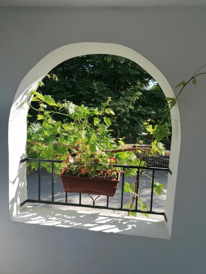 Villa Steffi Golden Sands Exterior photo