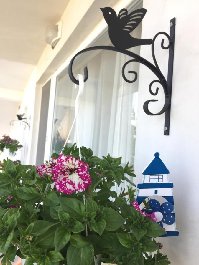 Villa Steffi Golden Sands Exterior photo